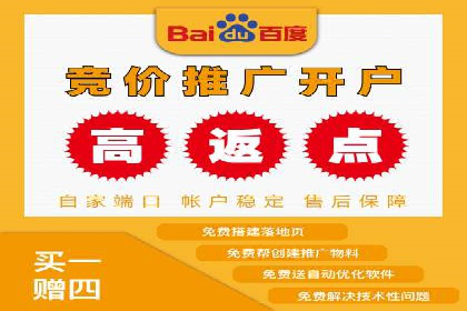 竞价推广策略解析：实战案例分析